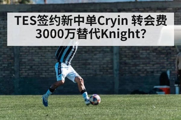 TES签约新中单Cryin 转会费3000万替代Knight？