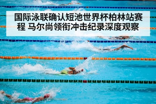 国际泳联确认短池世界杯柏林站赛程 马尔尚领衔冲击纪录深度观察