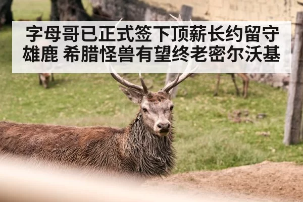 字母哥已正式签下顶薪长约留守雄鹿 希腊怪兽有望终老密尔沃基